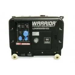 CHAMPION Groupe électrogène Diesel 5000W AVR LDG6500SV-EU - Noir