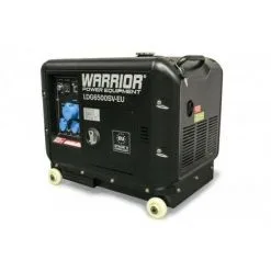 CHAMPION Groupe électrogène Diesel 5000W AVR LDG6500SV-EU - Noir -Promos CHAMPION Magasin 18185976 3