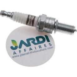 Bougie Champion RG96C Pour Moteur Thermique